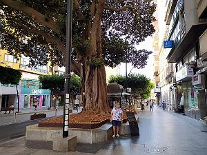 10 20210923 ALMERIA CENTRE VILLE AV FREDERICO GARCIA LORCA (2)